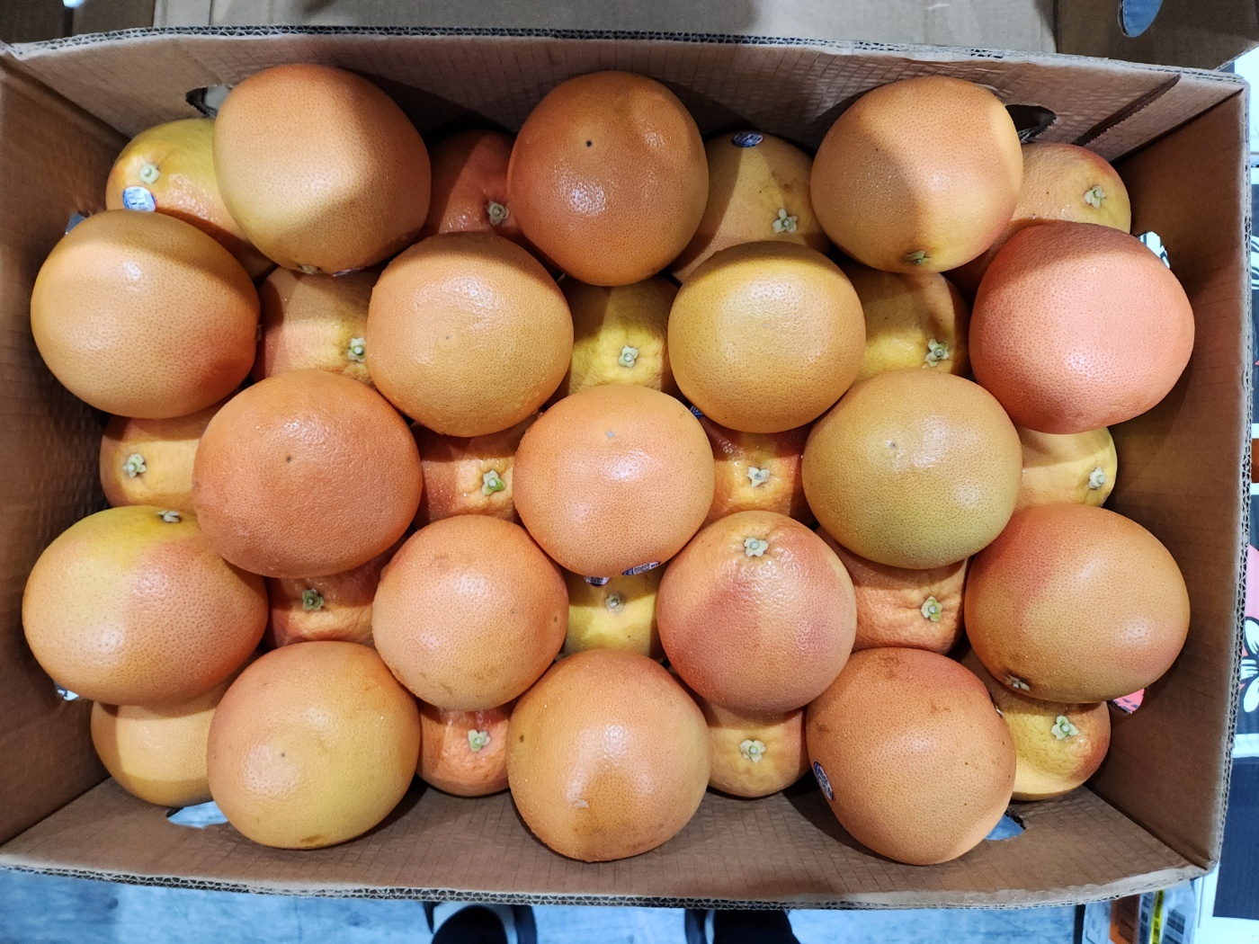 레드자몽 대과 자몽 350g, 10개 - 상세 이미지 2