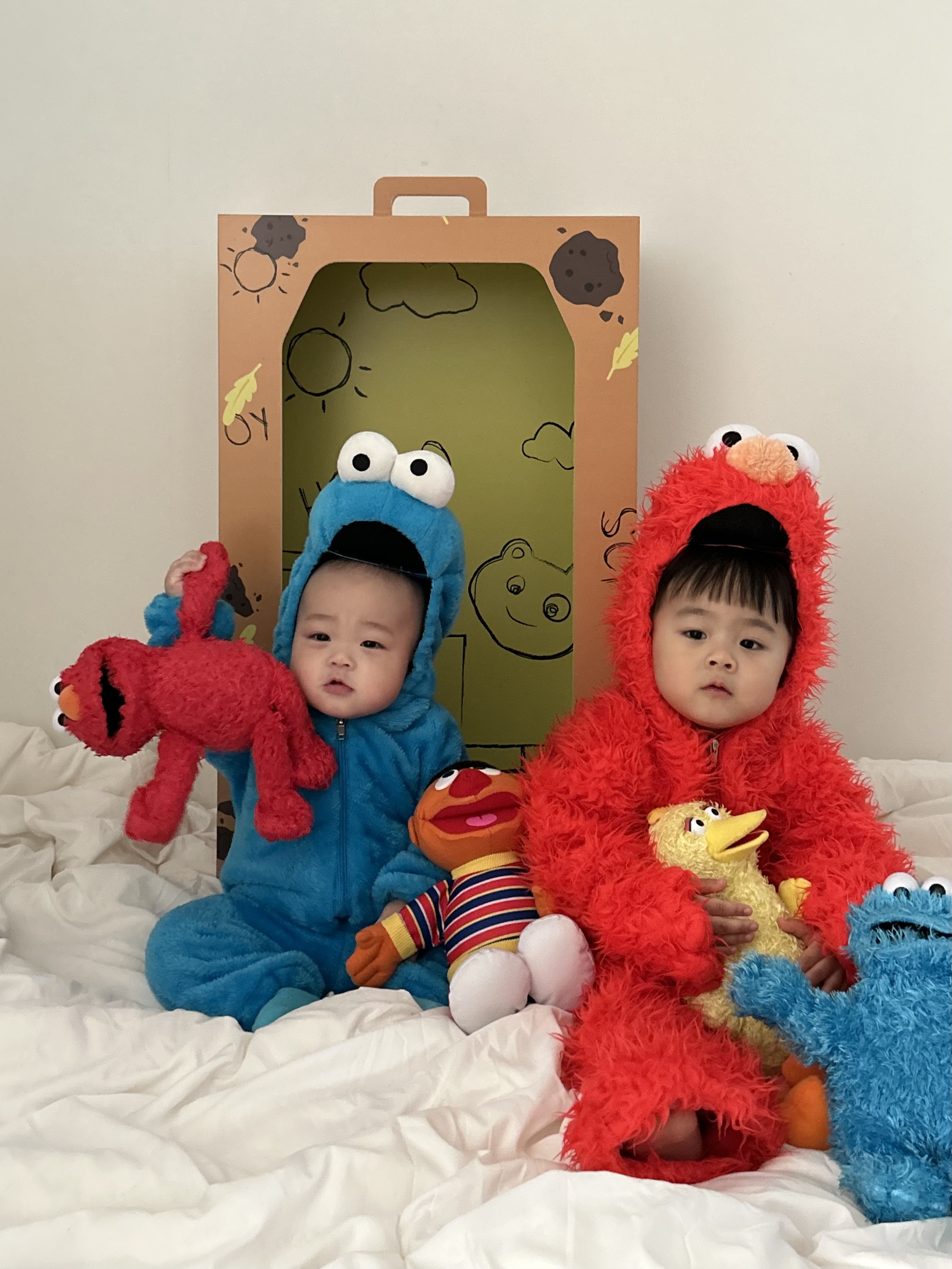 [대여] 베니비디비치 아기 셀프촬영 쿠키몬스터 컨셉 포토박스 50일 100일 200일 이미지 7