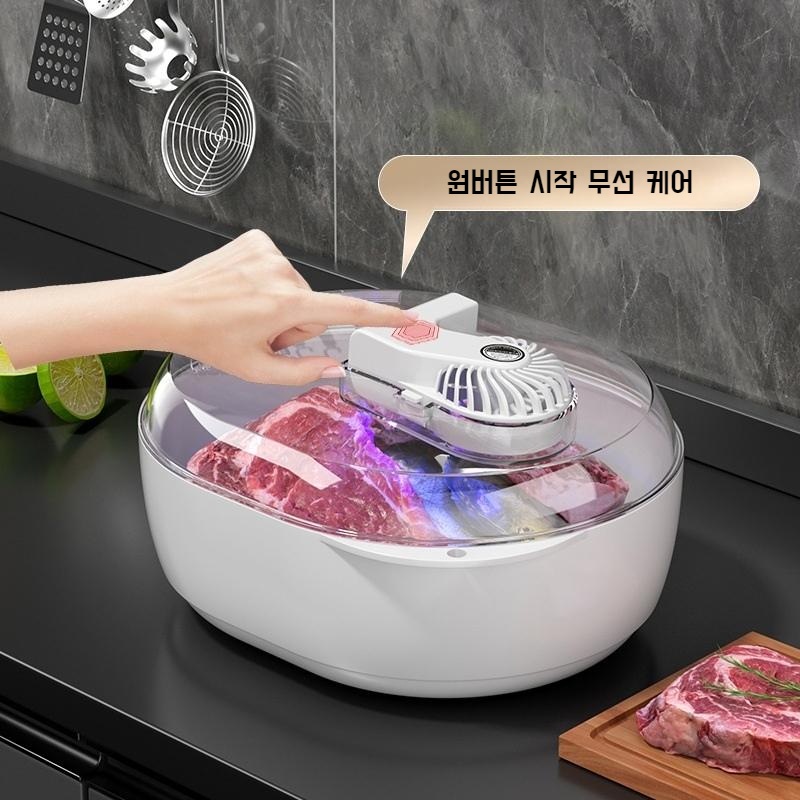 다 녹여 해동기 자연바람으로 빠르게 해동이 되는 해동용기 - 상세 이미지 2