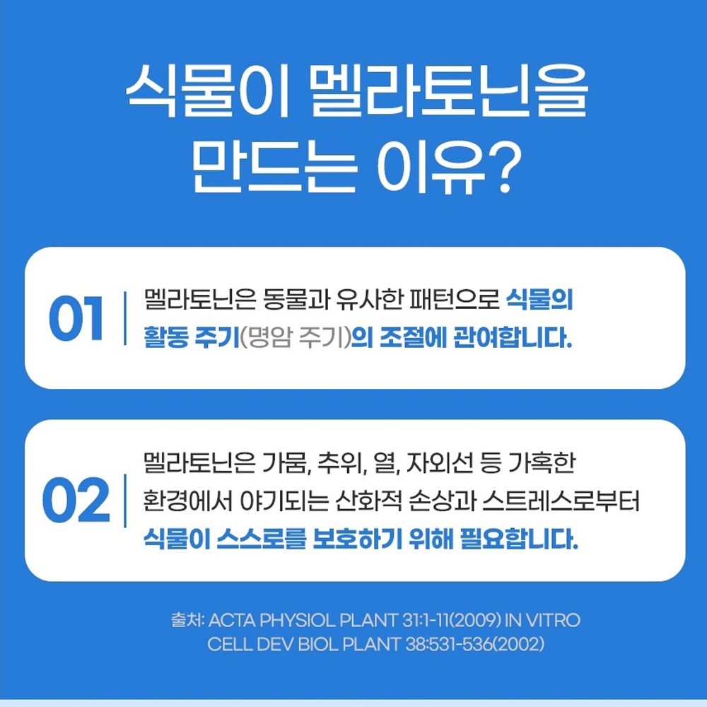식물성 맬라토닌 2mg 타트체리 트립토판 테아닌 이노시톨 캐모마일 로즈마리 레몬밤 시계꽃 이미지 8