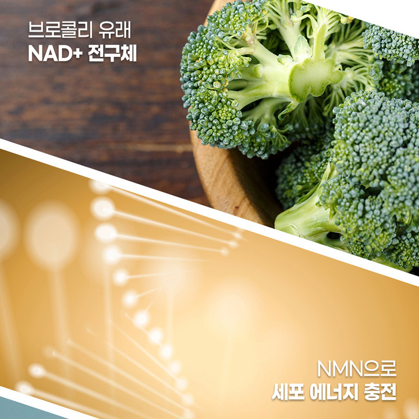 식물성 NMN 파이토 엔엠엔 25mg 브로콜리 추출분말 정 효능 2박스 - 상세 이미지 3