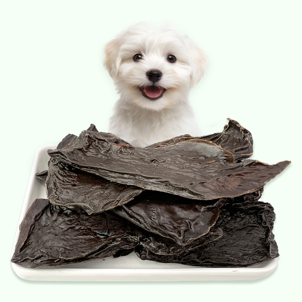 국산 한우간 육포 강아지져키 간식 눈건강 눈물 관리 애견 영양 간식 소고기, 70g, 1개 - 상품 이미지
