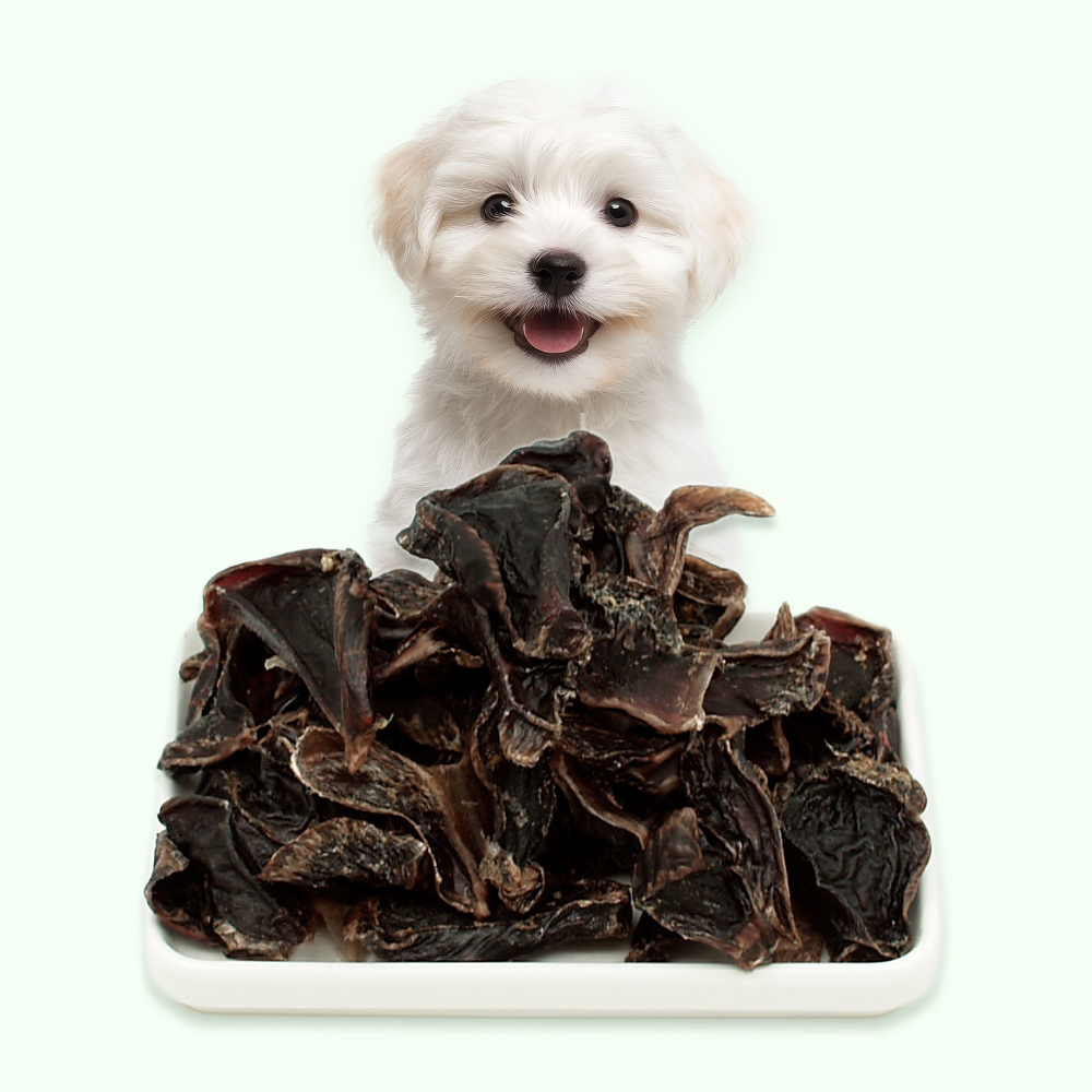 국내산 오리근위육포 강아지수제간식 체중관리에 좋은 반려견간식 오리고기, 90g, 1개 - 상품 이미지