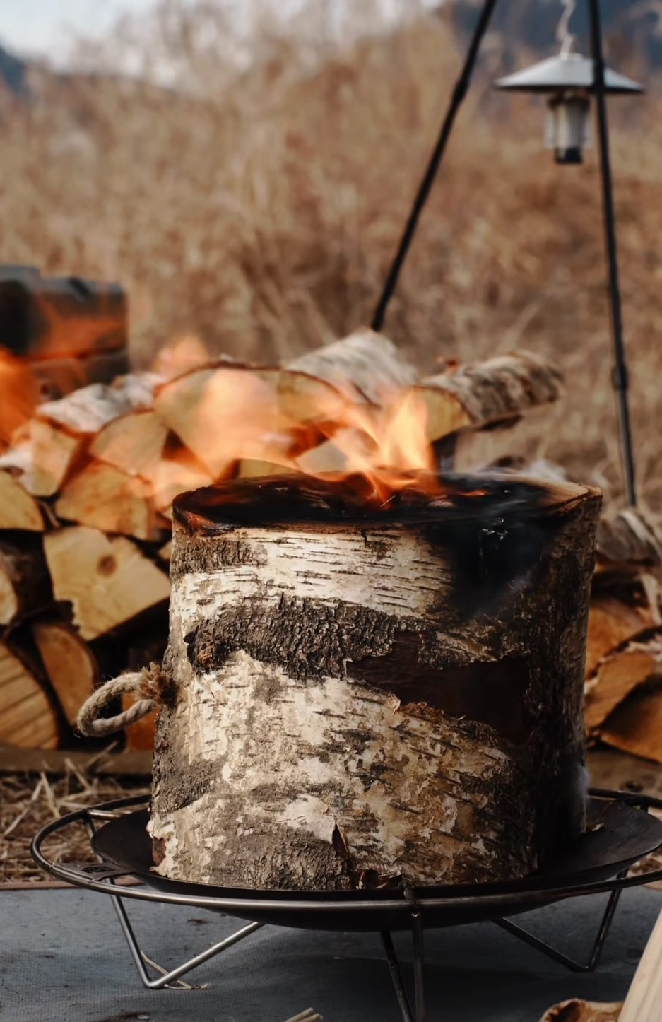 아홉산캠핑 착화제포함 자작나무 통나무장작 대형