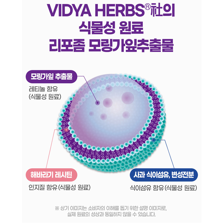 식물성 리포좀 레티놀 1500 영국산 DSM 비타민C 모링가잎 추출물 분말 가루 스틱 - 상세 이미지 5