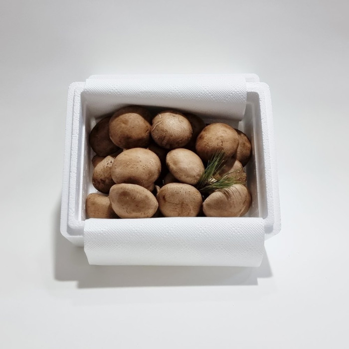 [버섯결] 초가송이버섯 선물포장 고급형1kg (부직포가방) : 사이소 경북고향장터