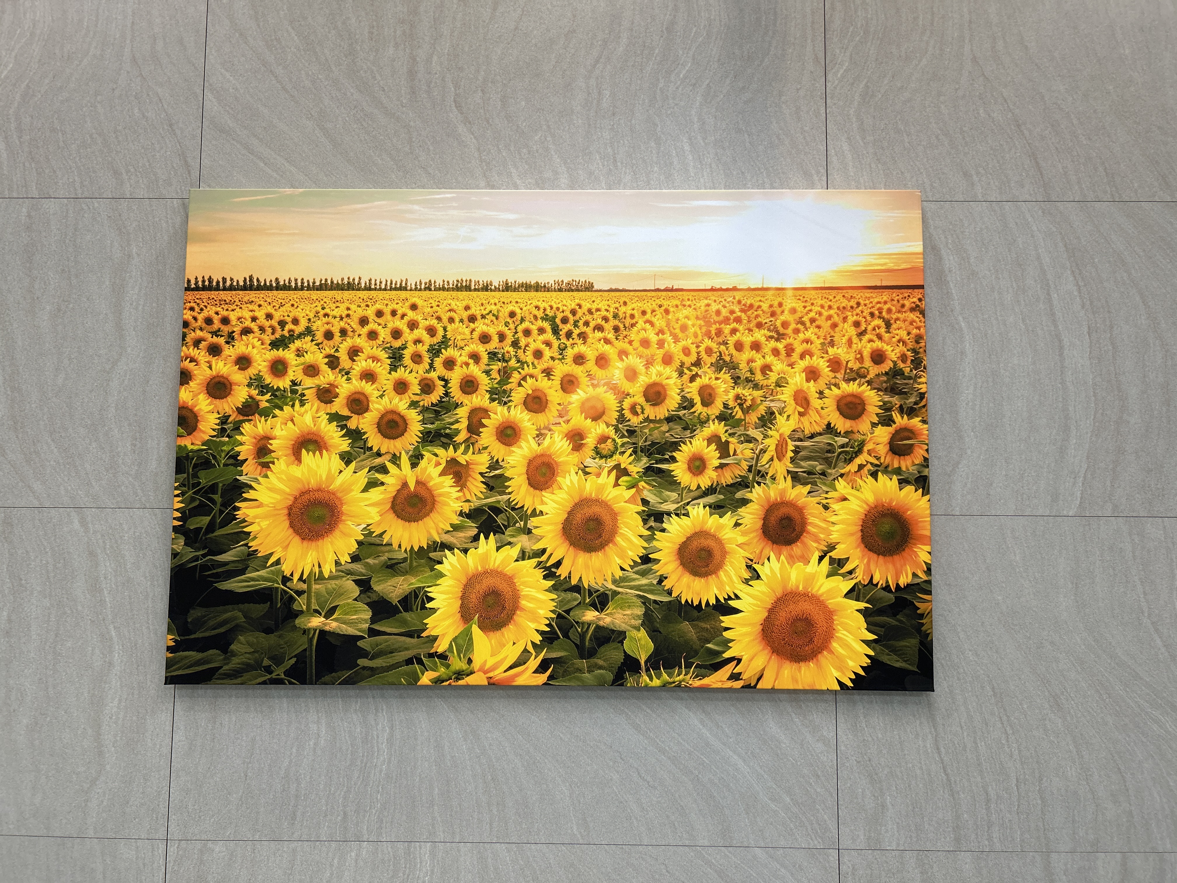 해바라기 액자 120x80cm 그림 돈들어오는 벽인테리어 사무실 거실 황금빛 해바라기들판