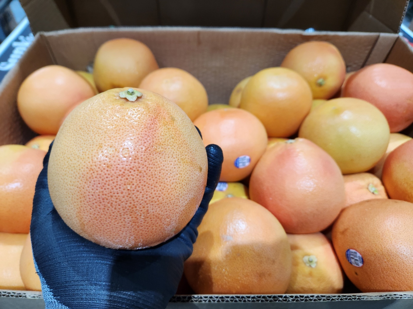 레드자몽 대과 자몽 350g, 10개 - 상세 이미지 3