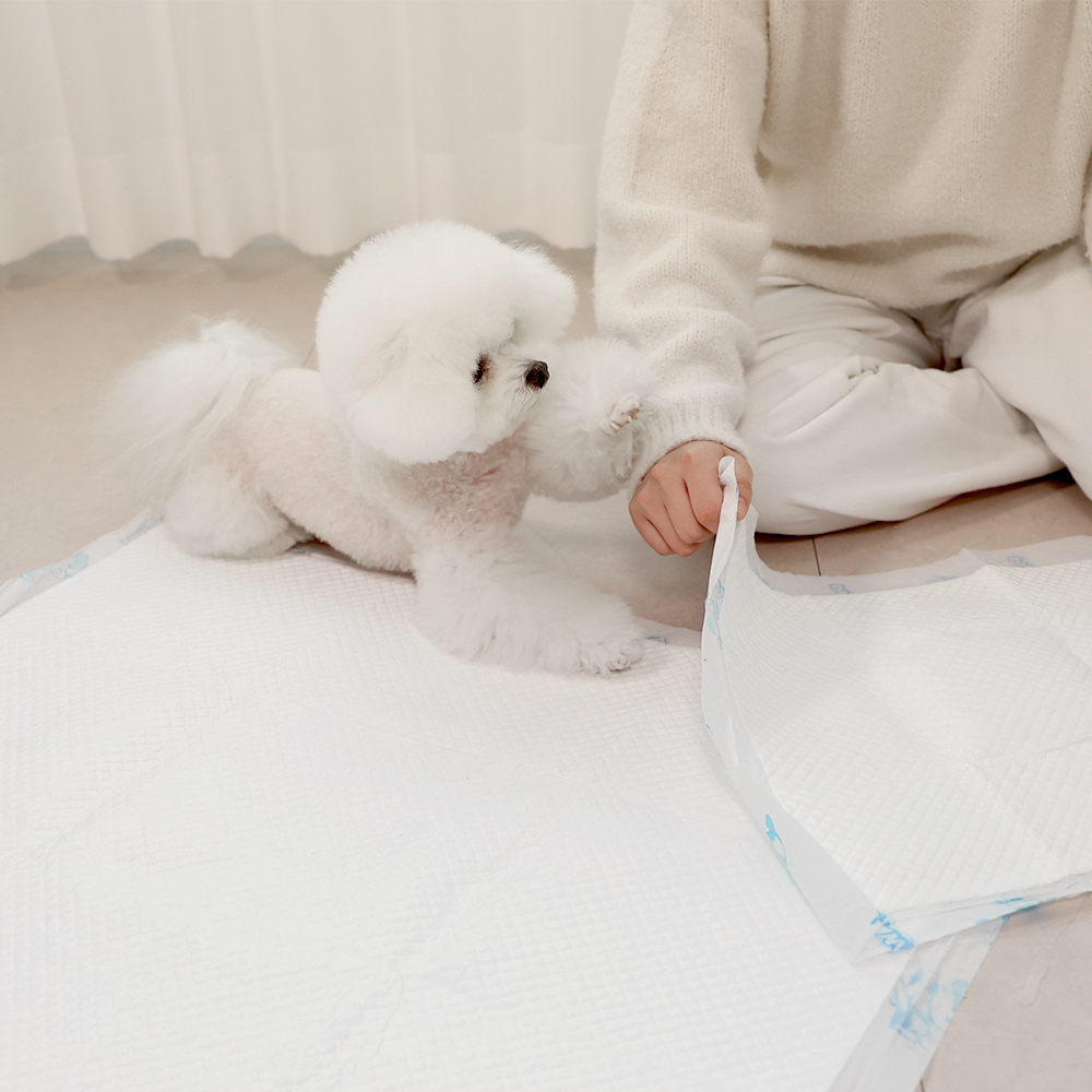 포우리 퀵드라이 고흡수 배변패드 큰패드 논슬립 두꺼운 대형, 20매입, 1개