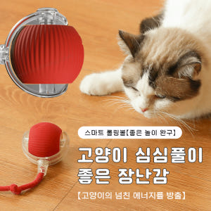 자동 오토 꼬리 공 끈 줄 테일 볼 장난감 움직이는 사냥 쥐 고양이 강아... 솔직 후기 | 실제 사용자 리뷰 총정리 - 상품 이미지 2