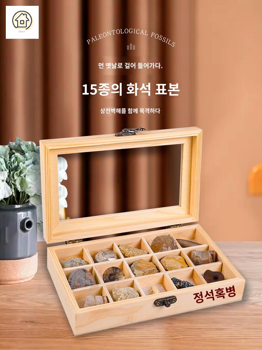 수집품 장식품 화석 수석 - 상세 이미지 2