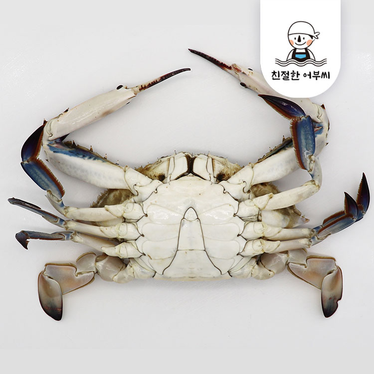 냉동 꽃게 급냉 국산 제철 숫꽃게 2kg 수산물이력제 친절한어부씨 - 상세 이미지 5