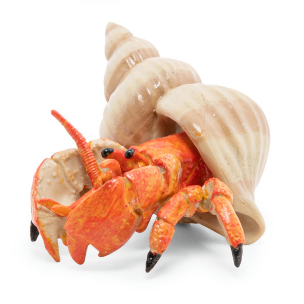 진짜같은모형 소라게피규어 바다생물모형장난감 갑각류피규어