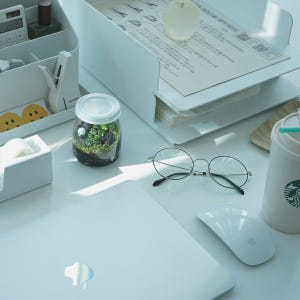제주애기모람 테라리움 DIY 키트 비단이끼 키우기 푸딩테라리움 실사용 후기 | 효과 있을까? - 상품 이미지 2