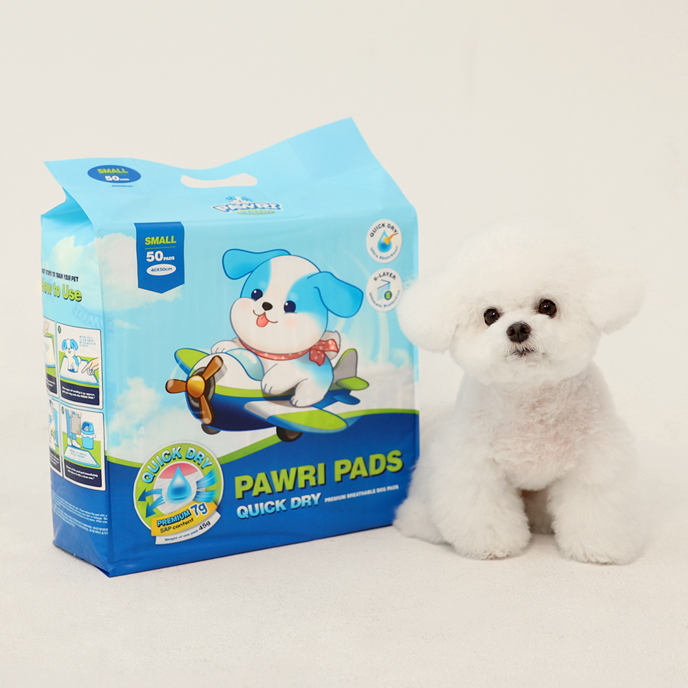 포우리 퀵드라이 고흡수 배변패드 큰패드 논슬립 두꺼운 소형, 50매입, 1개