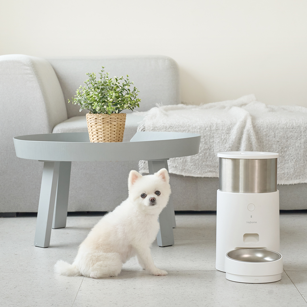 헤이홈 강아지 고양이 스마트 펫 자동급식기 Care+전용 도자기 밥그릇+급식기 제습제