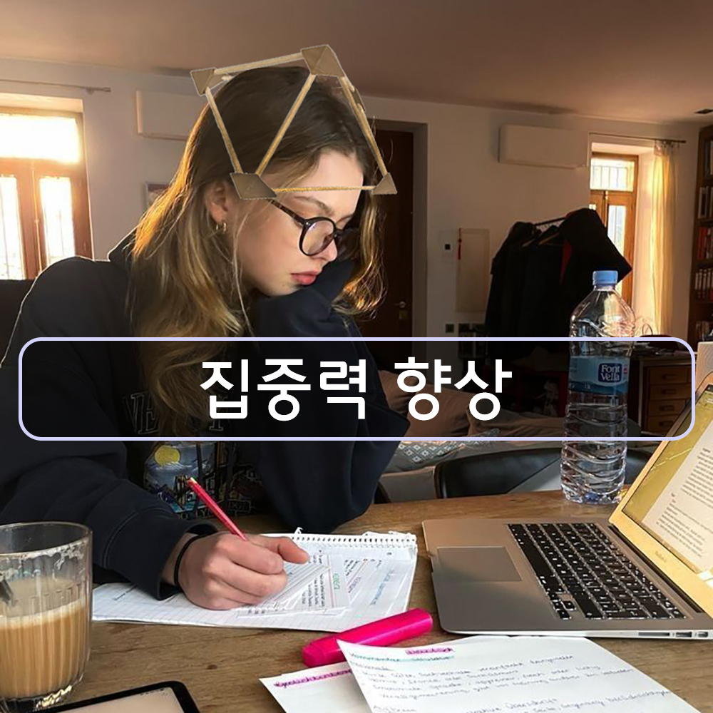 머리에 쓰는 기자 나무 크라운 피라미드 이미지 7