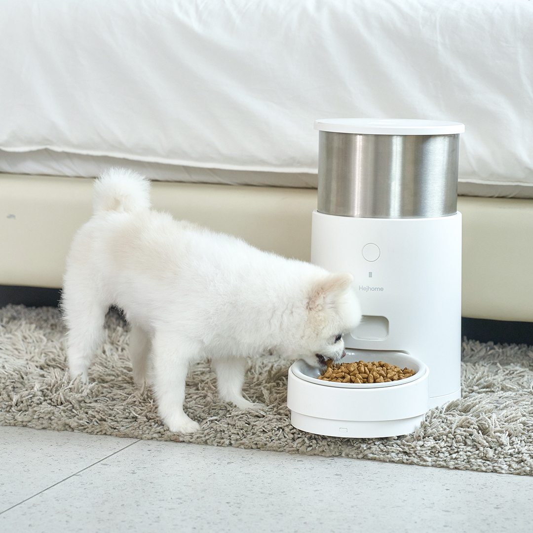 헤이홈 강아지 고양이 스마트 펫 자동급식기 Care+전용 도자기 밥그릇+급식기 제습제