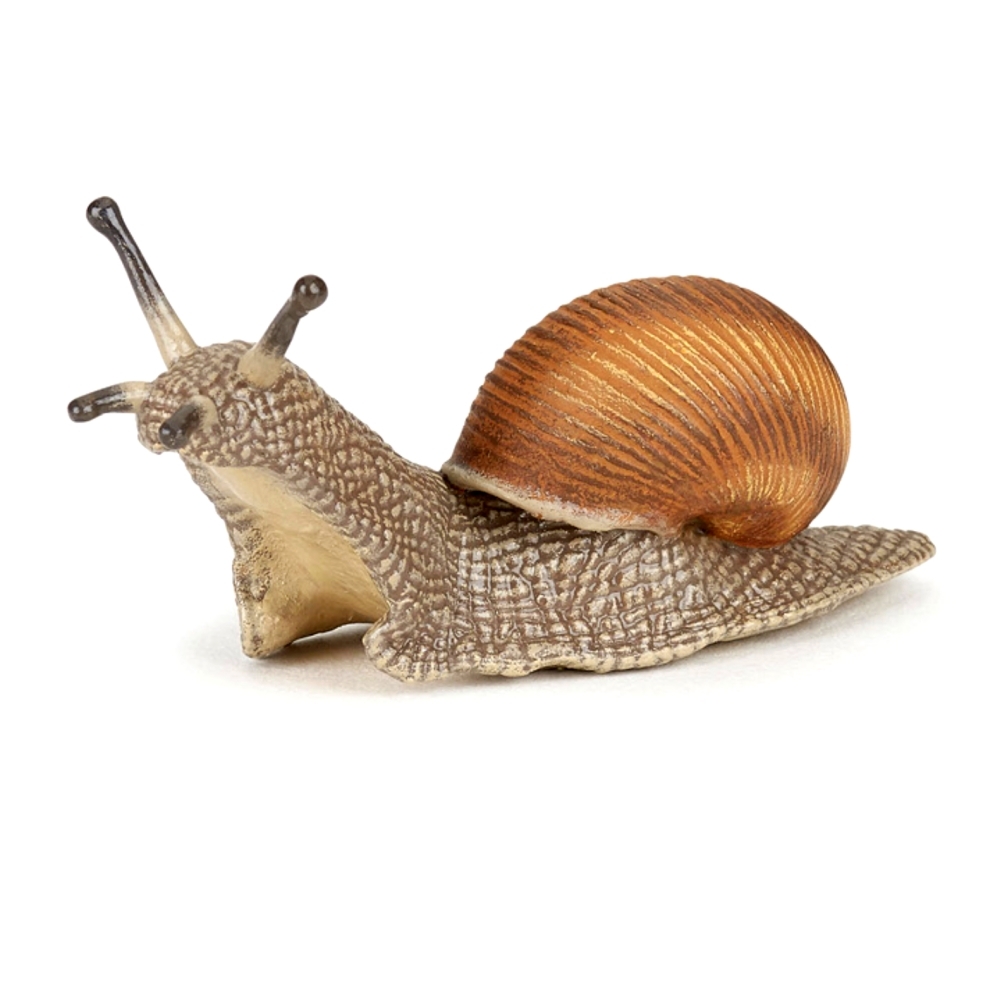 모형달팽이장난감 달팽이피규어 초등과학 연체동물관찰교구