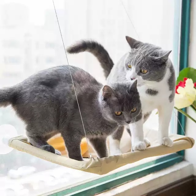 고양이창틀선반 창문해먹 공간박스 창문캣타워 고양이해먹 캣타워 벽타기 해먹 소형 - 상품 이미지
