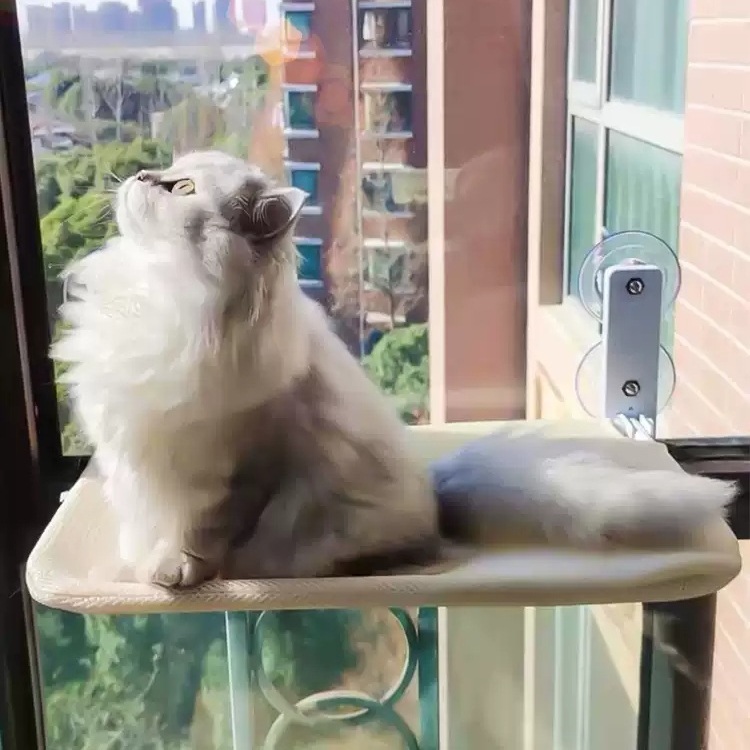 고양이창틀선반 소형 냥틀 창문캣타워 캣워커 창문 해먹 벽타기 고양이해먹 - 상세 이미지 2