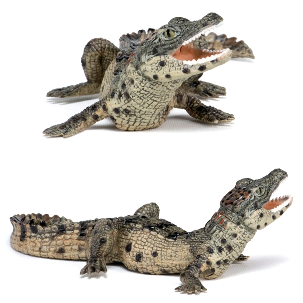 고퀄리티 파충류모형장난감 새끼악어피규어 미니어쳐악어피규어