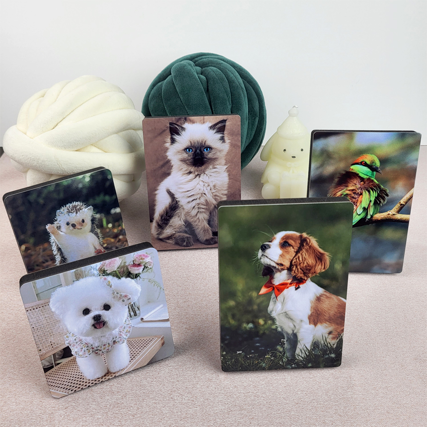 핸드폰 사진 감성 액자 제작 · 프리미엄 사진 인화 미니 출력 · 정사각 9x9