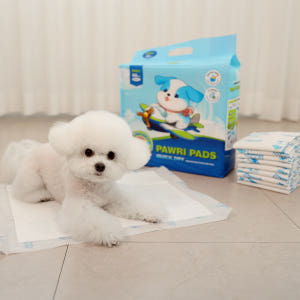 포우리 퀵드라이 고흡수 배변패드 큰패드 논슬립 두꺼운 대형, 20매입, ... 솔직 후기 | 실제 사용자 리뷰 총정리 - 상품 이미지 4