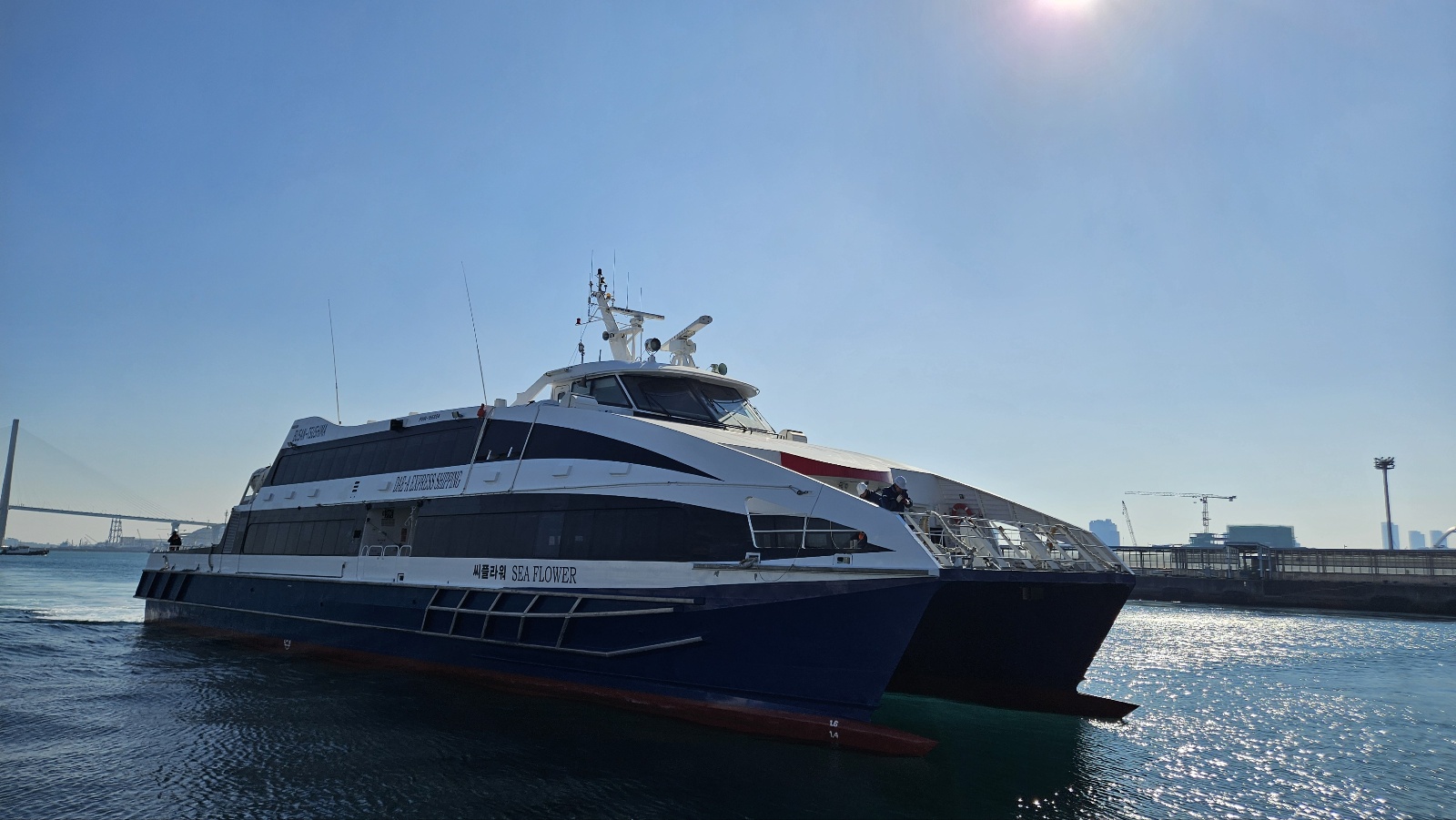 씨플라워호 대아고속 대마도 승선권 이즈하라 히타카츠 왕복 대마도배편 4~6월오픈 이미지 2