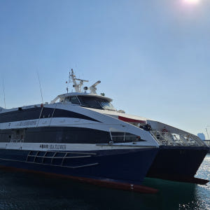 씨플라워호 대아고속 대마도 승선권 이즈하라 히타카츠 왕복 대마도배편 4~... 솔직 후기 | 실사용자 리뷰 분석 - 상품 이미지 2