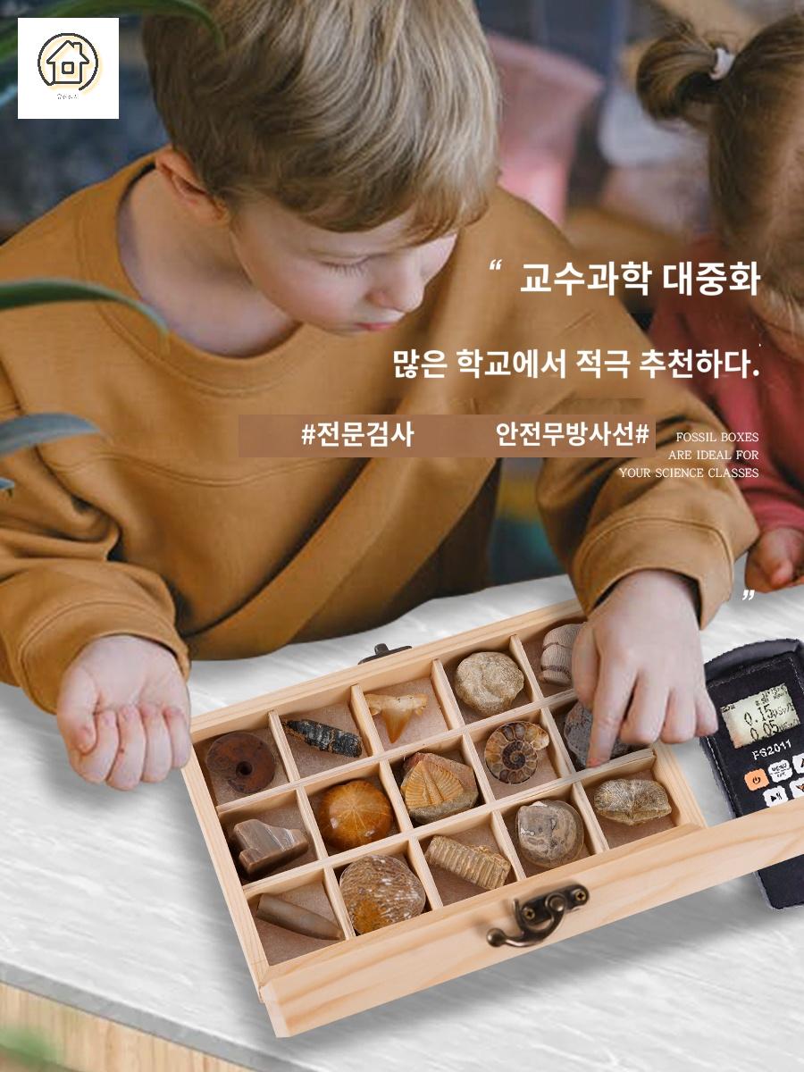 수집품 장식품 화석 수석 - 상세 이미지 3