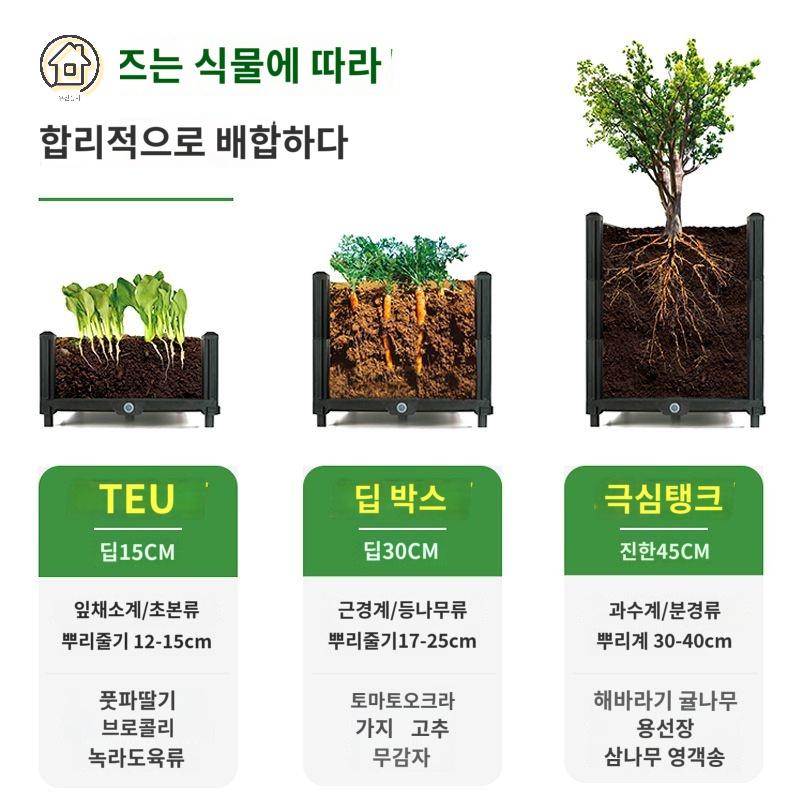 상추 키우기 옥상정원 텃밭 화분 대파 직사각 베란다 화단 실내 - 상세 이미지 4