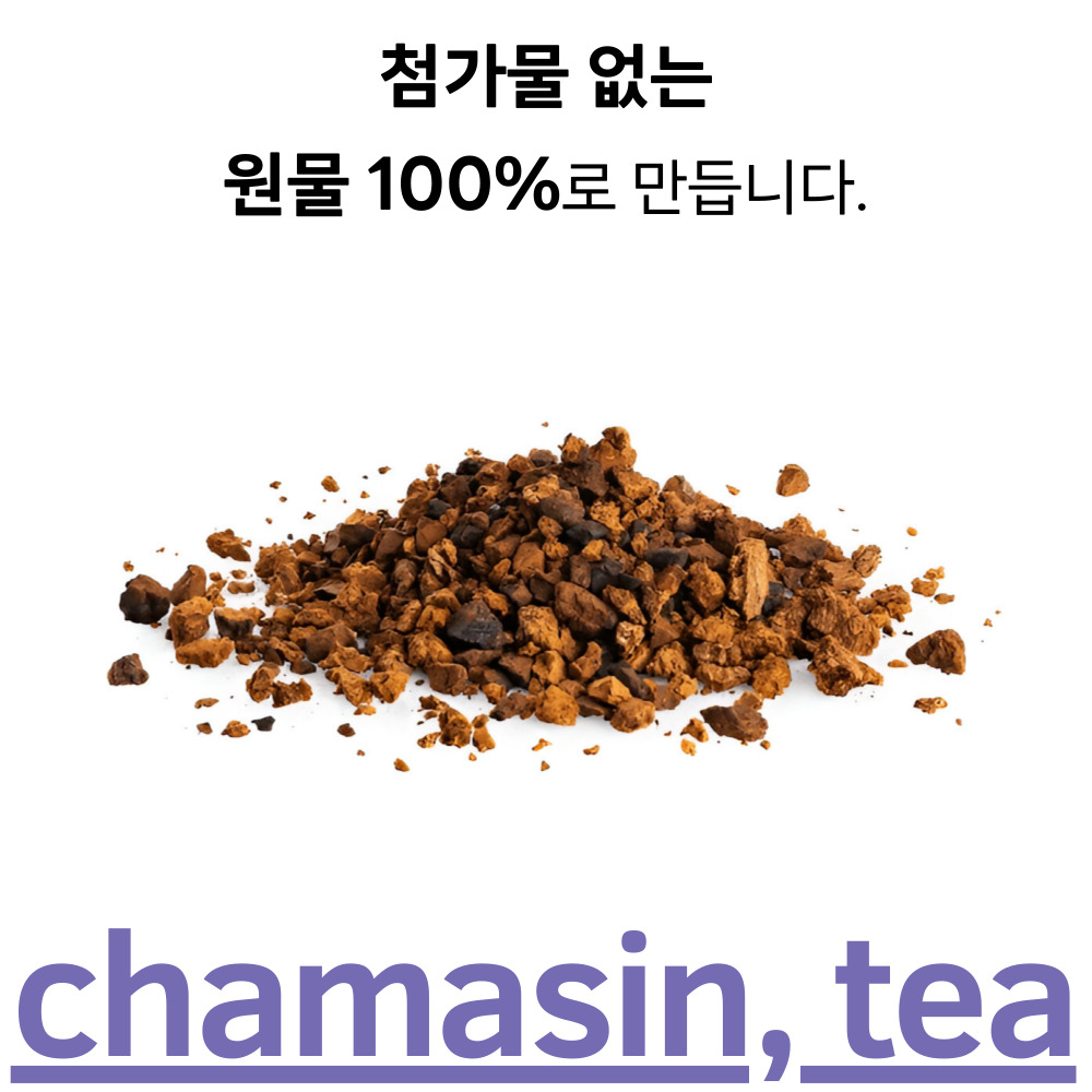 차가버섯차 50티백 카페인없는 혈관에좋은 차 - 상세 이미지 2