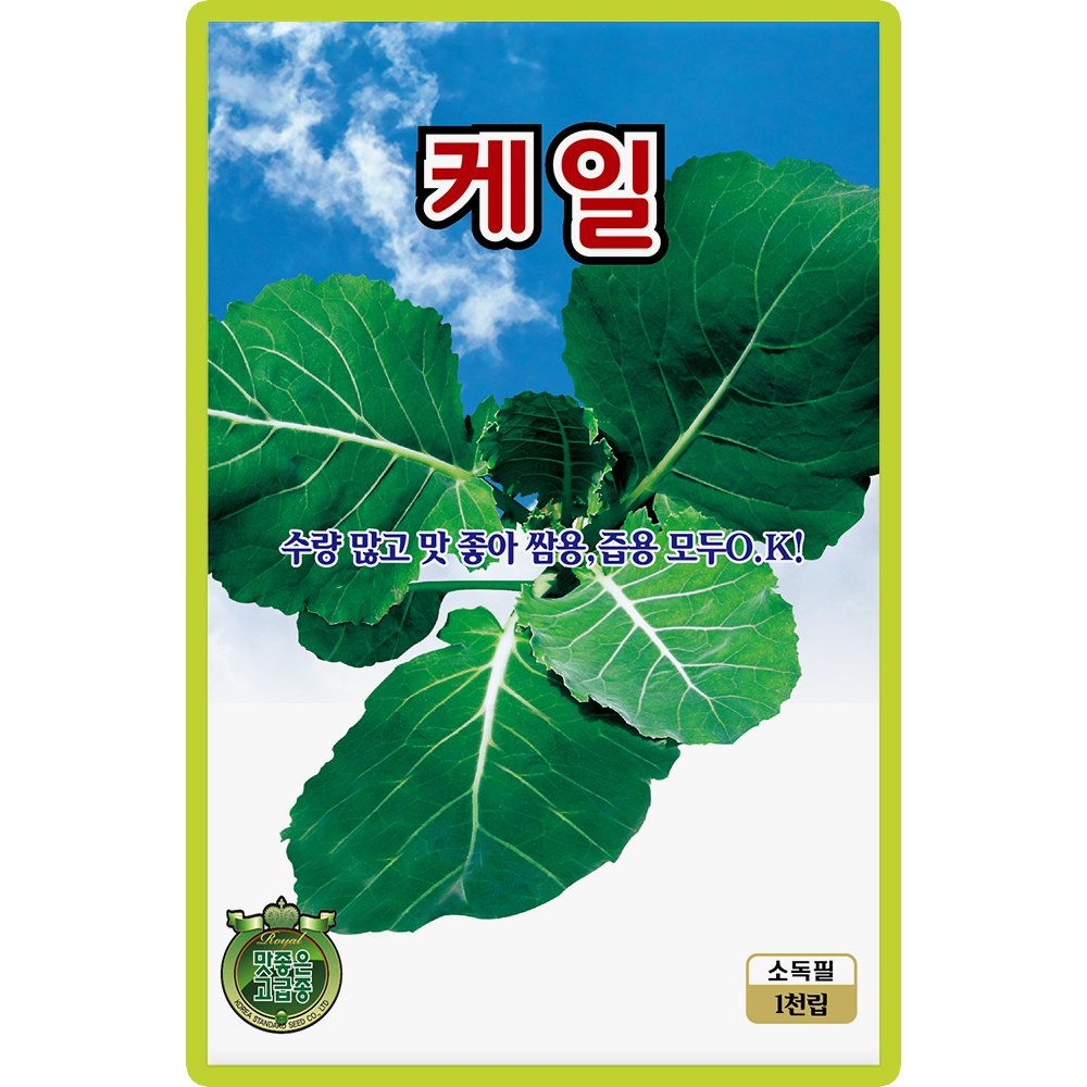 KS종묘 케일 씨앗 1000립 수량 많고 맛 좋은 버팀성이 강한 고급 품종 종자 : 양동씨앗마켓