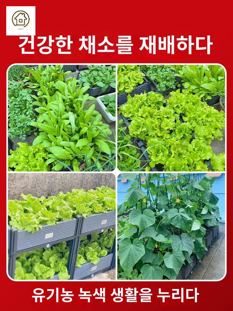 직사각화분 실내 텃밭 상추키우기 대파 옥상정원 베란다 화단 이미지 6