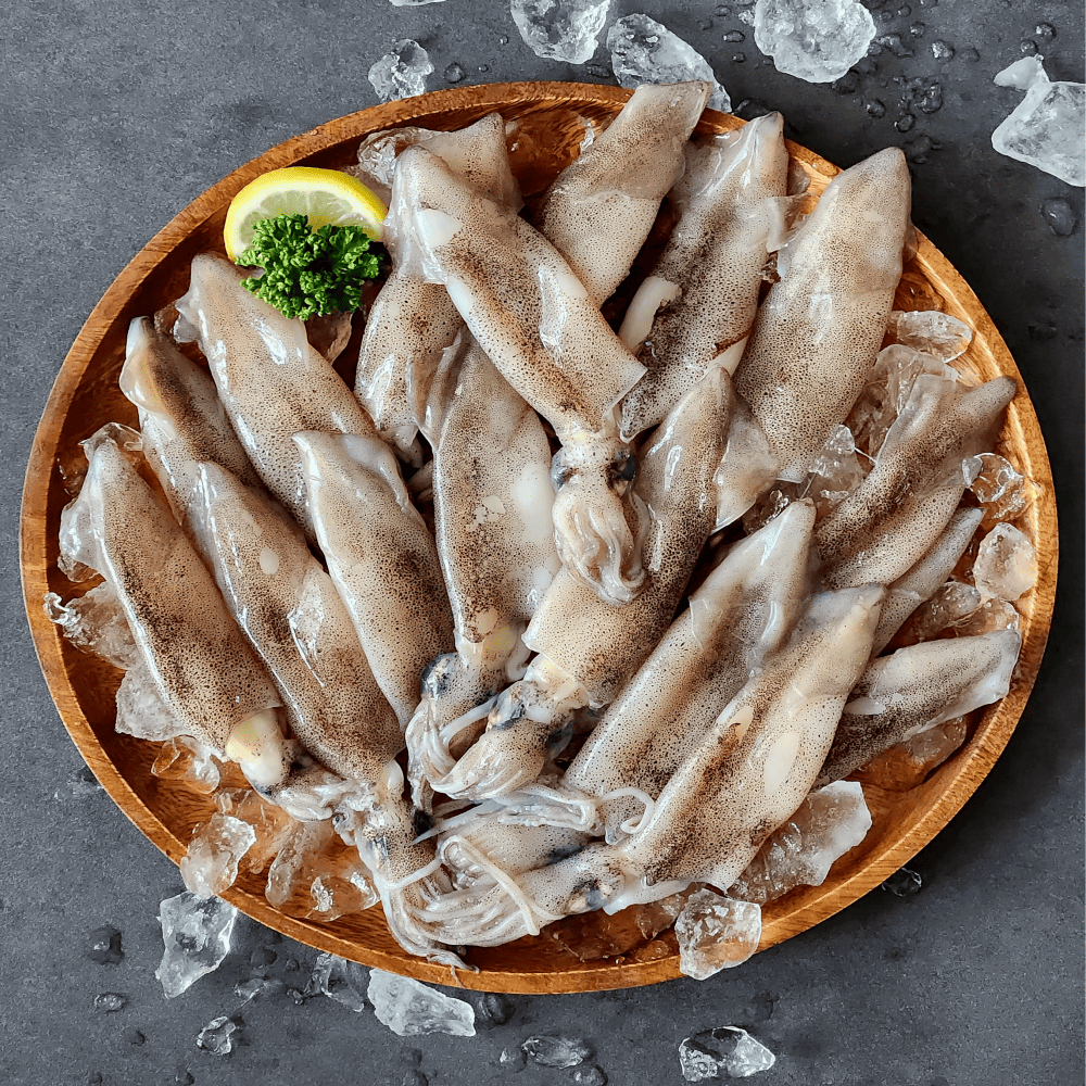 한치 한치통찜 한치제철 총알 생물 500g 7-13미 - 상세 이미지 2