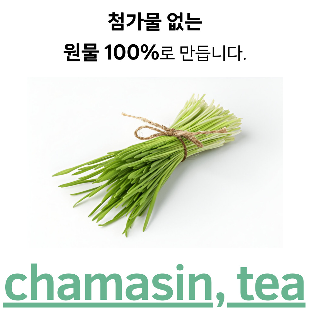 새싹보리차 50티백 카페인없는 마시는 차 - 상세 이미지 2