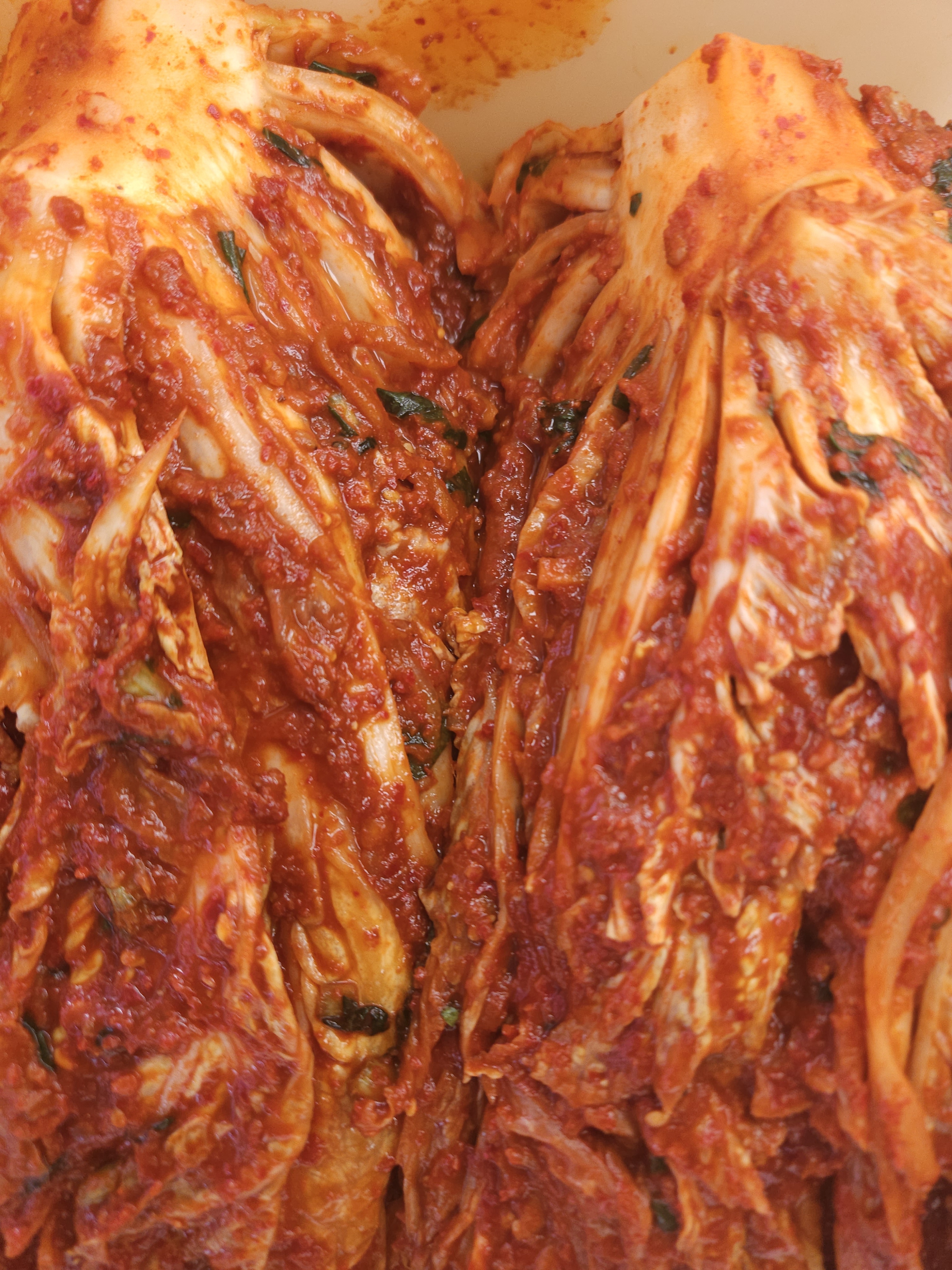 맛있어서 줄서요 찐 전라도 배추 포기김치 2kg 광주 가정식 국내산 배추김치 김장주문 - 상세 이미지 2