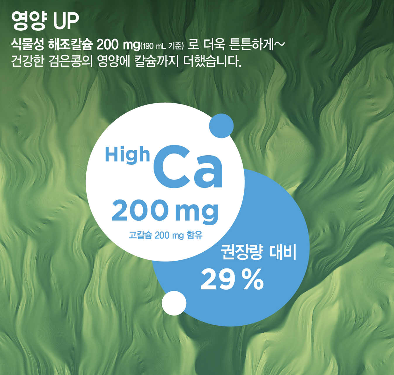 이롬 황성주 검은콩두유 검정콩 고칼슘 190ml 16팩 - 상세 이미지 3