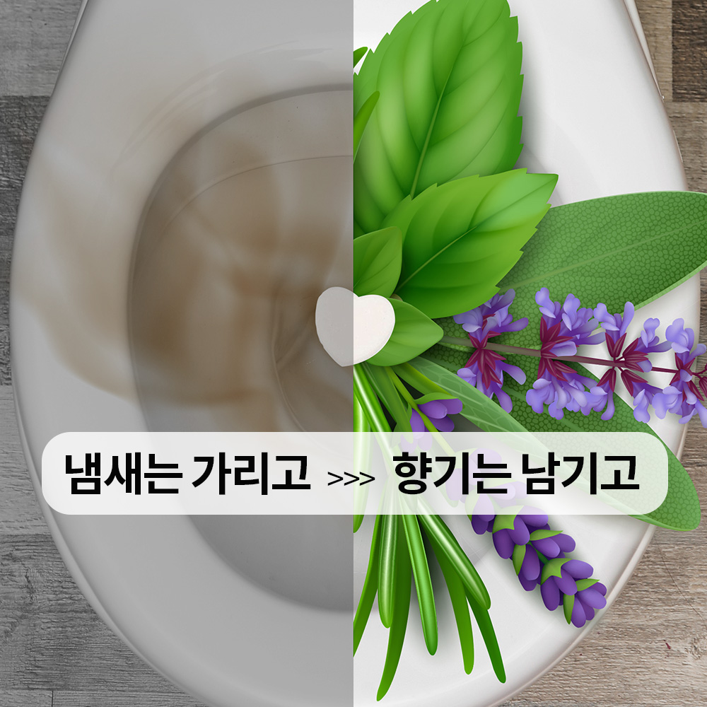 토퓸 토일렛 퍼퓸 화장실 욕실 방향제 변기 향수 (30정) - 상세 이미지 3