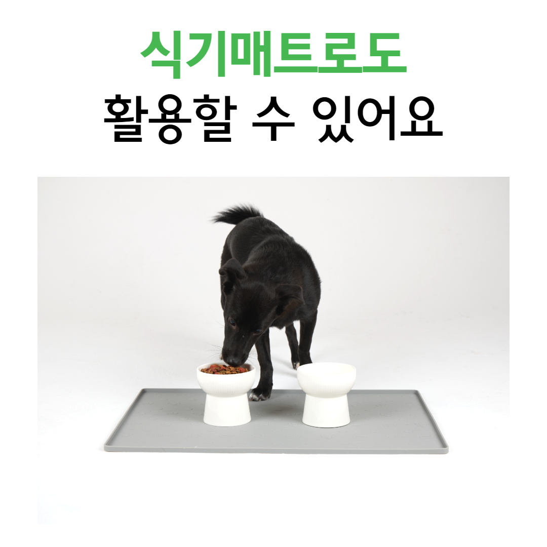 [별점 4.83] 핸독 강아지배변판 애견 실리콘 배변매트 화장실 패드판 중형 이미지 6