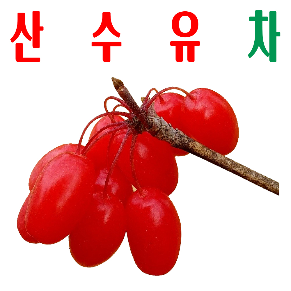 산수유차/ 산수유티백/ 덖음차/ 빛깔 고운 음료/ 1회용 Tea - 메인 이미지