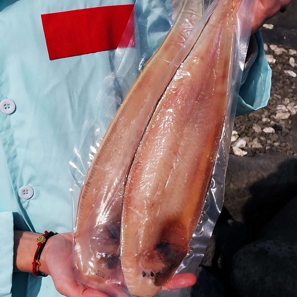 군산 반건조 박대 손질 후 말린 생선 서대 박대 - 상세 이미지 5