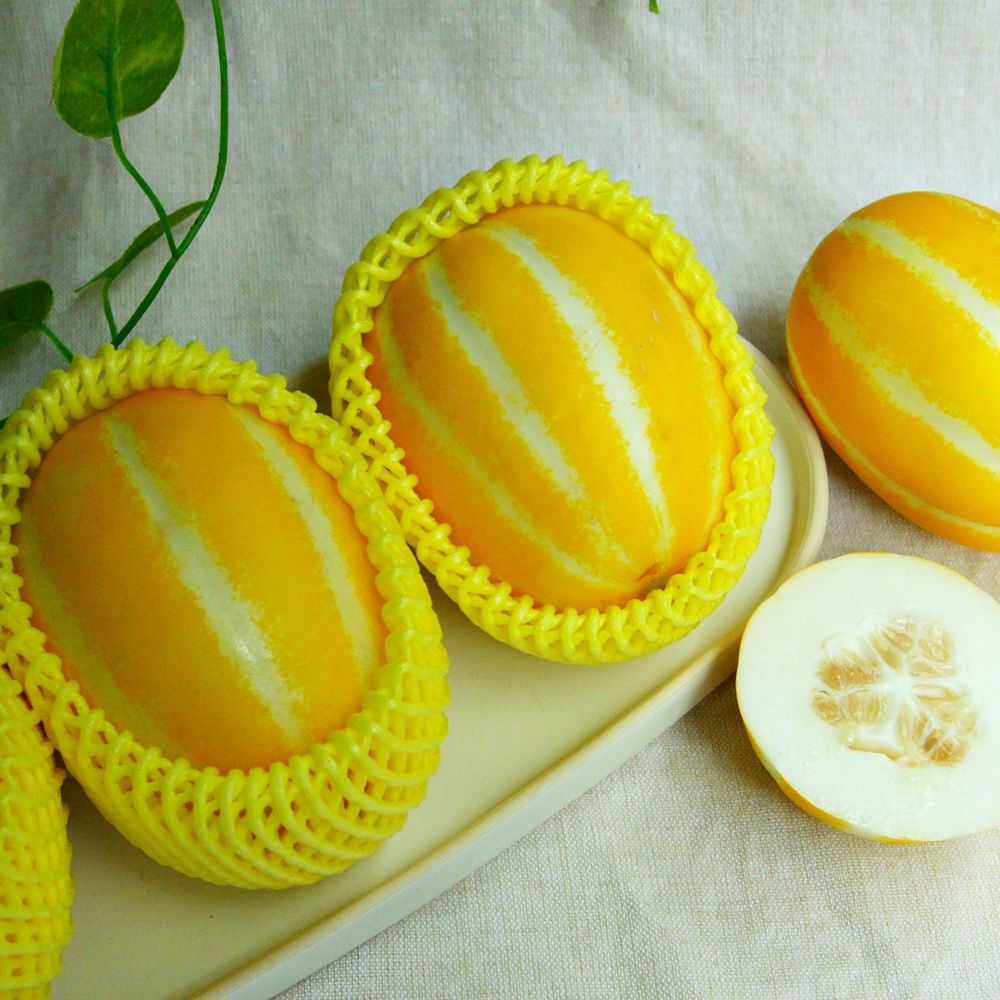 성주참외 못난이 꿀 제철 고당도 참외 가정용 1kg