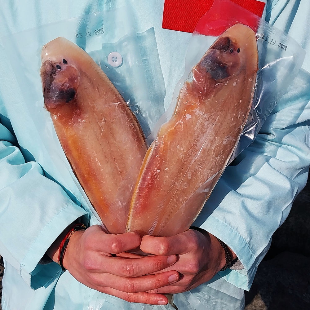 군산 반건조 박대 손질 후 말린 생선 서대 박대 - 상세 이미지 4