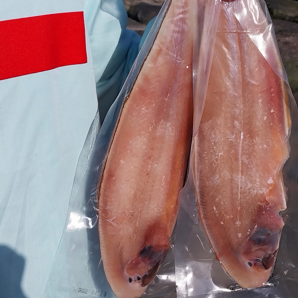 군산 반건조 박대 손질 후 말린 생선 서대 박대