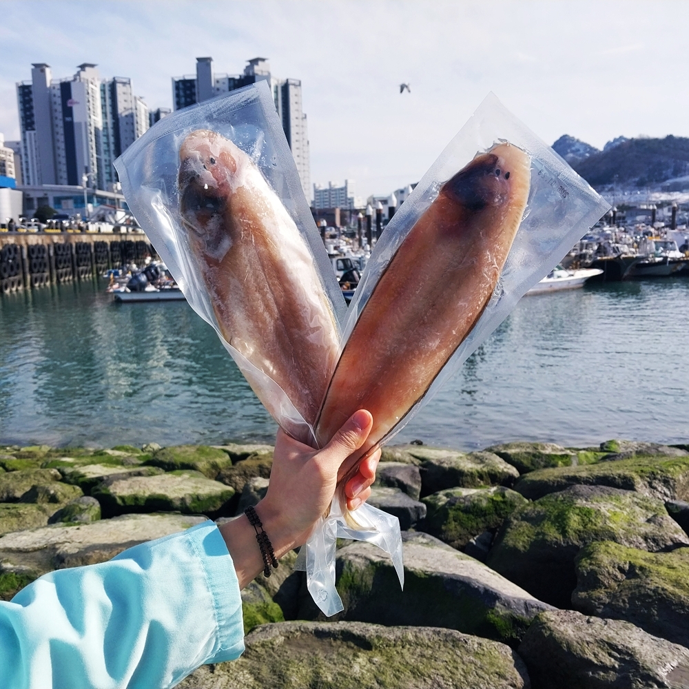 군산 반건조 박대 손질 후 말린 생선 서대 박대 - 상세 이미지 2