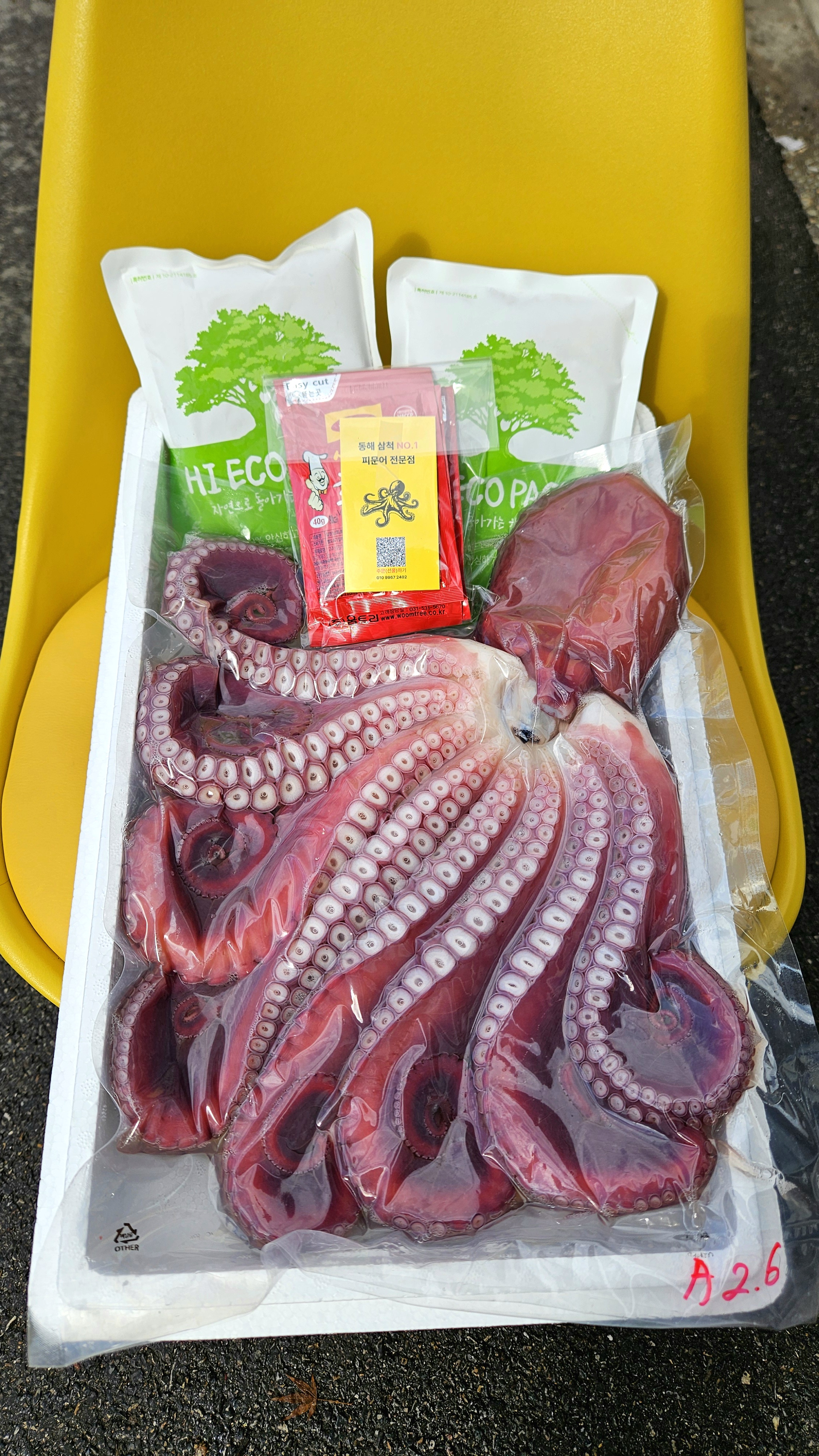 동해 삼척 문어 대왕 자숙 문어 대문어 구매가이드 생물 문어 후기 문어 1.5kg