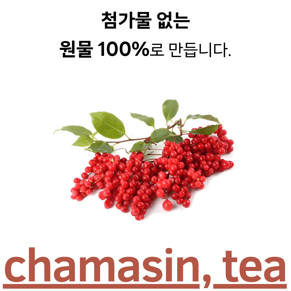 오미자차 50티백 전통차 카페인없는차 - 상세 이미지 2