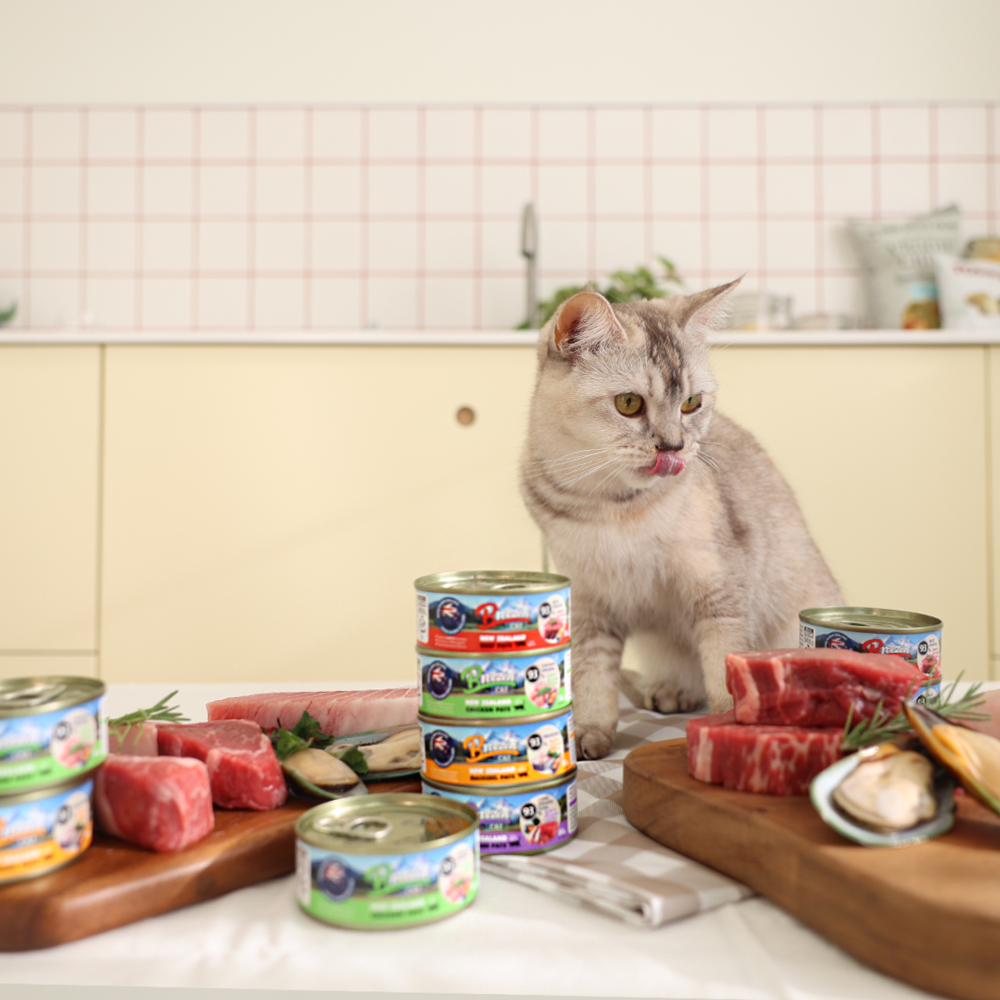 브리젠 뉴질랜드산 전연령 고양이 주식캔 습식사료 파테 비프, 80g, 12개 상세 이미지 7